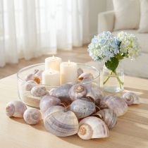 Produkt Naturalne muszle ślimaków 1kg