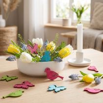 Produkt Scatter dekoracji drewna ptak motyl kolorowy asortyment 2cm