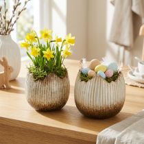 Produkt Doniczka Ceramiczna Jajko Złamane Kremowo-brązowe Ø11,5cm 2 szt