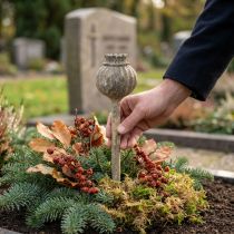 Produkt Kamień sztuczny deco mak antyczny deco brązowy Ø11cm 30cm