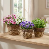 Produkt Kosz naturalny do sadzenia, dekoracja kosza, donice do roślin naturalny dł.21/19/16cm wys.21/19/16cm zestaw 3 szt.