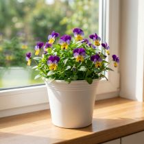 Produkt Doniczka plastikowa „Irys” biała Ø15cm W13cm 1 szt.