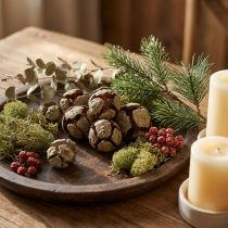 Produkt Szyszki cyprysowe naturalne 3cm 500g