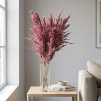 Produkt Suszona trawa trzcinowa, suszona trawa ozdobna, antyczna róża, 75 cm, 10 sztuk
