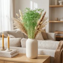 Produkt Suszone kwiaty, baldaszkowate, zielone, 70-80 cm, 150 g