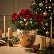 Produkt Cachepot Ceramic Acorn Golden Christmas Decoration Ø18cm H16,5cm