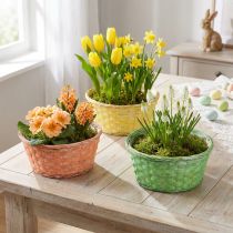 Produkt Kosz na rośliny okrągły Ø25cm pomarańczowy, żółty, zielony 6 szt