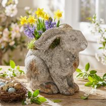 Produkt Betonowa dekoracyjna doniczka na kwiaty królik Wielkanoc antyczna szarość wys. 27cm