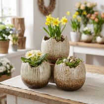 Produkt Doniczka ceramiczna jajko rozbite kremowo-brązowe Ø9,5cm 3 szt