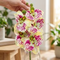 Produkt Orchidea sztuczna gałązka Phaelaenopsis zielono-różowa H49cm