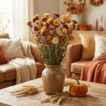 Produkt Kwiat słomy Żółty, czerwony suszony Helichrysum suszony kwiat 50cm 60g