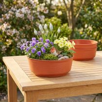 Produkt Miska plastikowa Z Ø22cm 10 szt