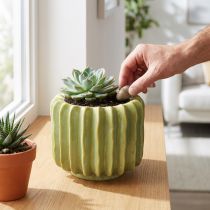 Produkt Doniczka w kształcie kaktusa, idealna do egzotycznych dekoracji wnętrz, 16 cm