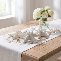 Produkt Dekoracja rozgwiazdy duża suszona biała rozgwiazda nabijana 15-18cm 10 sztuk