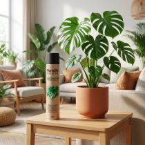 Produkt Oasis Floralife Leaf Shine Liściowy spray nabłyszczający 750ml