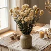 Produkt Sucha dekoracja słomkowy krem kwiatowy helichrysum suszony 50cm 30g