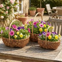 Produkt Kosz Kosz na rośliny Kosz tkany z uchwytem naturalny 33/28/22 cm, zestaw 3 szt