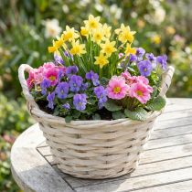 Produkt Kosz z uchwytami Kosz na frytki Kosz na rośliny bielony Ø18cm W12cm