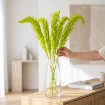 Produkt Suszone kwiaty z liszy, barwione, do wyjątkowej dekoracji wnętrz i wyjątkowych akcentów, 100 cm, 5 sztuk