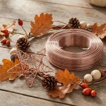 Produkt Drut aluminiowy Ø2mm drut aluminiowy do robótek ręcznych jasnobrązowy 500g 60m