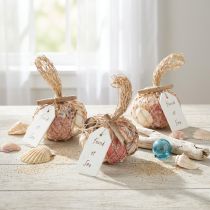 Produkt Muszle ozdobne morskie mix w siatce, kolorowe, 3,5-6 cm, 300 g × 3 szt.