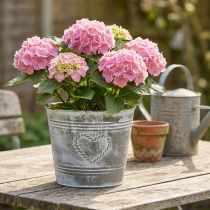 Produkt Doniczka metalowa w stylu Shabby Chic z wzorem w kształcie serca, Ø22 cm, wys. 17,5 cm