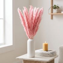 Produkt Sucha trawa ozdobna różowa trzcinowa Pampas 70cm 10 szt.
