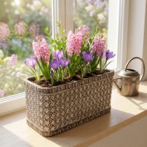 Produkt Sadzarka Ceramiczna miska do sadzenia Brązowy, biały 23×11×11cm