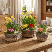 Produkt Zestaw białych koszyków na rośliny w stylu shabby chic, wielkanocny koszyk naturalny z uchwytami Ø28/24/19 cm, kosze dekoracyjne, myte