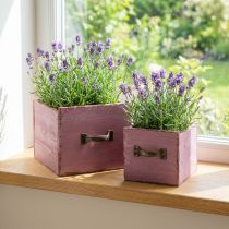 Produkt Szuflada na rośliny skrzynka na rośliny drewno fioletowa 12,5/16cm zestaw 2 szt