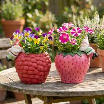 Produkt Wieszak krawędziowy doniczki ceramicznej karzeł Ø14,5cm 2szt