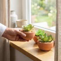 Produkt Sztuczne rośliny w doniczkach sztuczne sukulenty W9cm 3szt
