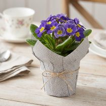 Produkt Doniczka papierowa w kropki opakowanie prezentowe kwiaty Ø7cm wys.14cm 12 szt.