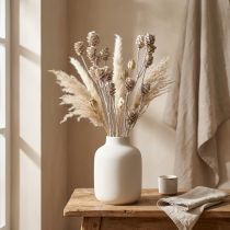 Produkt Salignum protea bielona na łodydze 25 szt