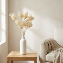 Produkt Suszone kwiaty krem koper włoski bielone pęczek 45cm 10 szt.