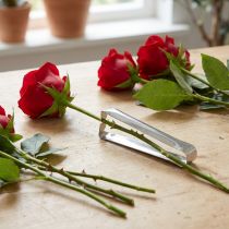 Produkt Dethorner do róż klasyczny srebrny dethorner do róż 13cm