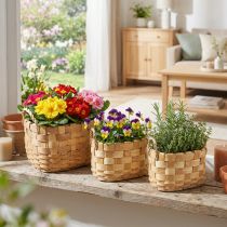 Produkt Doniczka do kosza na rośliny z uchwytami natura 22/27/33cm zestaw 3 sztuk