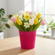 Produkt Mankiety plisowane Cerise 12,5cm 100 sztuk