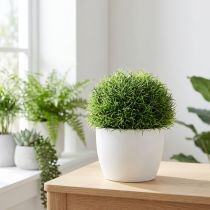 Produkt Kula trawiasta zielona kula dekoracyjna sztuczna Ø15cm 1 szt