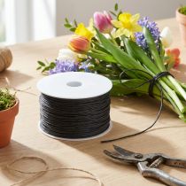 Produkt Drut papierowy owinięty Ø2mm 100m czarny