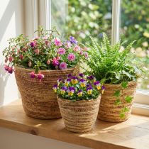 Produkt Zestaw koszyków na rośliny z rattanu, naturalny/brązowy, 3-częściowy, Ø26/22/16 cm – dekoracyjny i wszechstronny