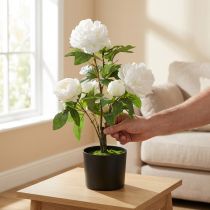 Produkt Sztuczna Paeonia, piwonia w doniczce, roślina ozdobna białe kwiaty wys.57cm