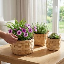 Produkt Zestaw 3 naturalnych koszyków na rośliny, kosz na kwiaty, doniczka, kosz dekoracyjny boho, pleciony, Ø18/23/29 cm