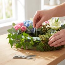 Produkt Igły do bluszczu 60mm Igły florystyczne do roślin pnących ocynkowane 400g
