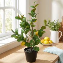 Produkt Sztuczne drzewko cytrynowe w doniczce, 65 cm, roślina dekoracyjna, roślina sztuczna