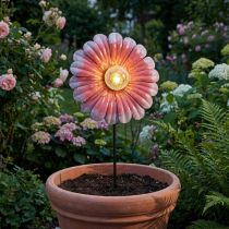 Produkt Solarna lampa ogrodowa LED Flower Garden LED Metal Pink Ø30cm