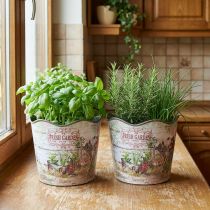 Produkt Doniczka na zioła plastikowa Fresh Garden H13.5cm 2szt