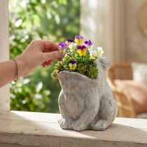 Produkt Żaba dekoracyjna doniczka doniczka betonowa szara wys. 18,5 cm