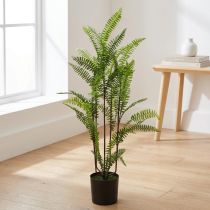 Produkt Paproć w doniczce zielona 80cm