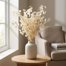 Produkt Lunaria Deco Moon Violet Silver Leaf Suszony 90cm 100g